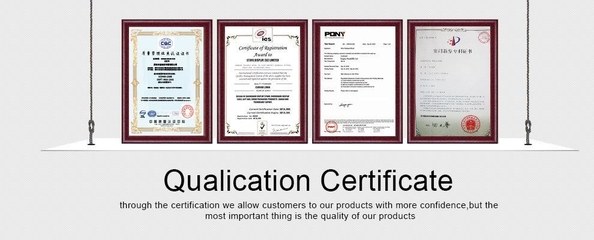 Porcellana First (Shenzhen) Display Packaging Co.,Ltd Certificazioni